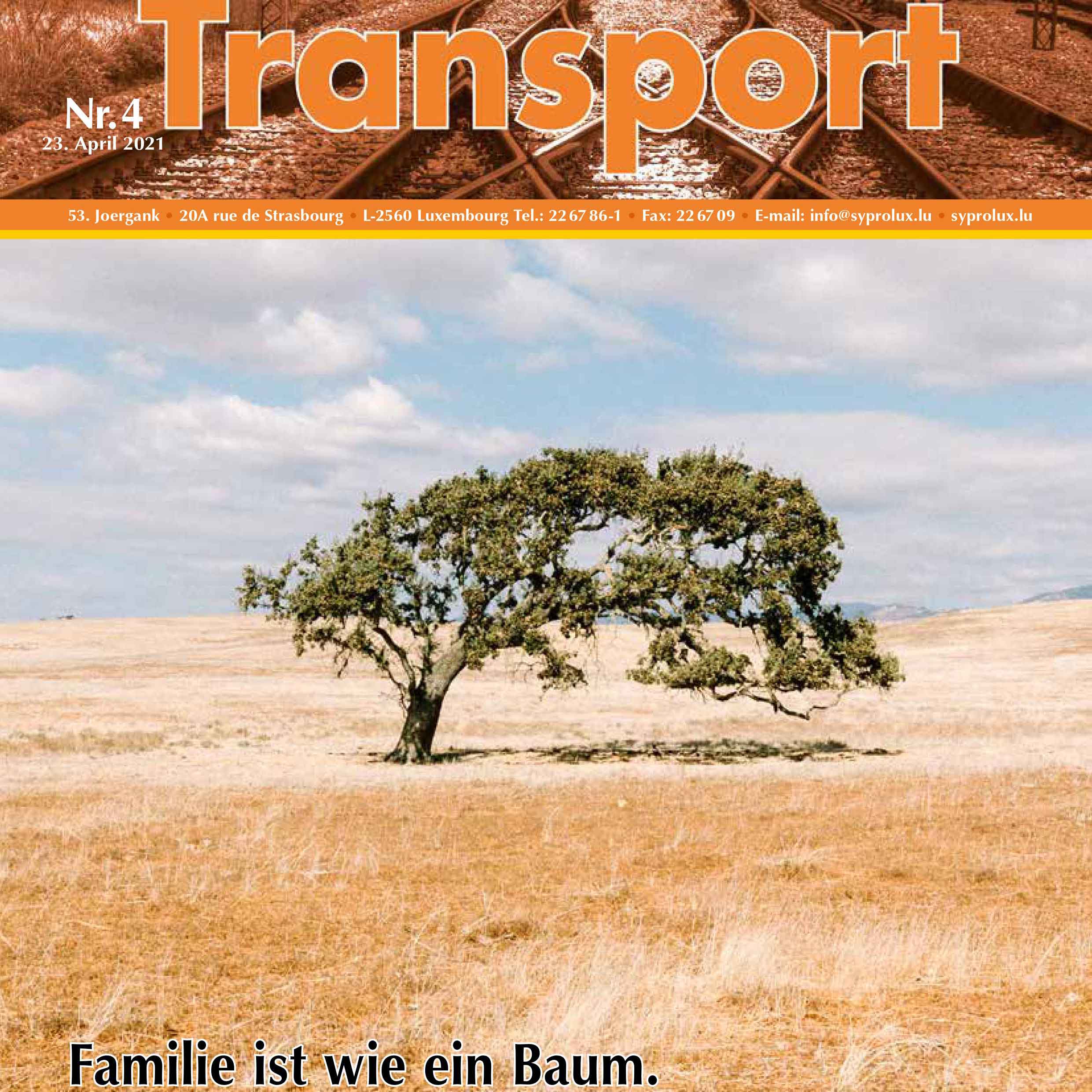 Familie ist wie ein Baum.